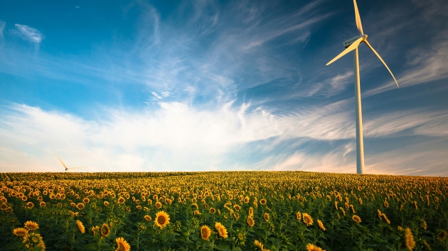 EU beschließt 90-Prozent-Klimaziel bis 2040 - Quelle: Gustavo Guepons/Unsplash